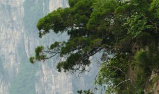 国内玻璃栈道旅游景点有哪些 凤凰山玻璃栈道