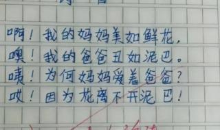 心中应有远大的理想800字作文 小学生作文我的理想