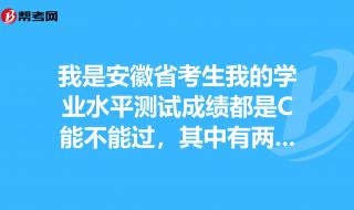 请问一下安徽的会考学业水平测试怎么算过 安徽省学业水平测试