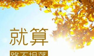 12月10号电子驾驶证为什么申请不了 2021微信为什么注册不了